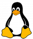 Embedded Linux Training in Lithuania