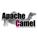 Apache Camel Training in Lithuania