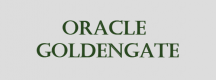 Oracle GoldenGate Training in Lithuania
