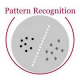 Pattern Recognition Training in Lithuania