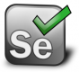 Selenium Training in Lithuania