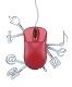 Web Services Training in Lithuania